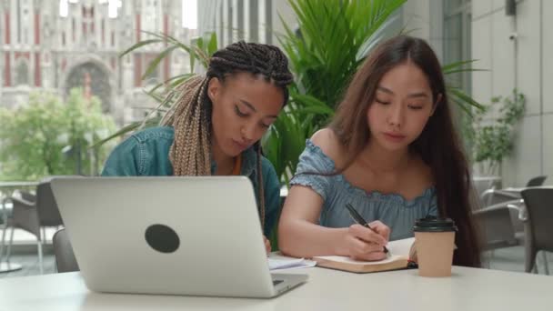 Chica asiática positiva hablando con una amiga afroamericana. Estudiantes felices haciendo deberes buscando portátil de pantalla al aire libre en una cafetería. Estudiar, divertirse, educarse — Vídeos de Stock