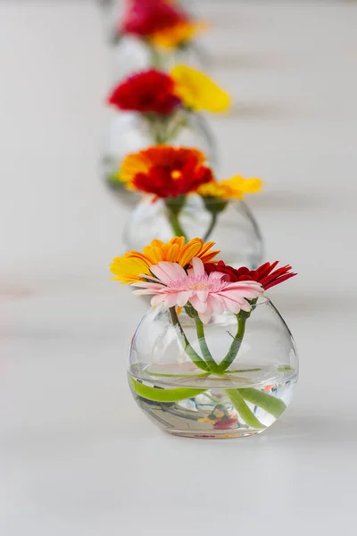 Flores Coloridas Alineadas Una Mesa Comedor Con Una Servilleta Blanca Imágenes De Stock Sin Royalties Gratis