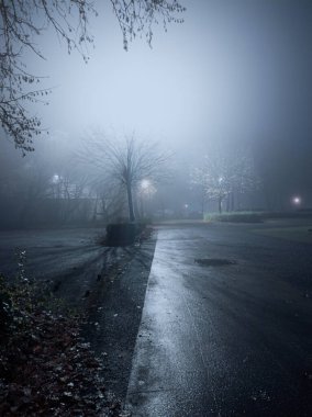 Geceleri sisli, sakin bir park manzarası çıplak ağaçlar, yumuşak sokak ışıkları ve kaygan, yansıtıcı bir yol. Sis sakin ve gizemli bir atmosfer yaratır. Ruh hali, şehir veya doğa temaları için mükemmel..