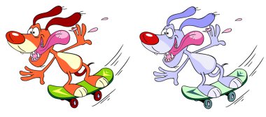 bir kaykay sürme köpek