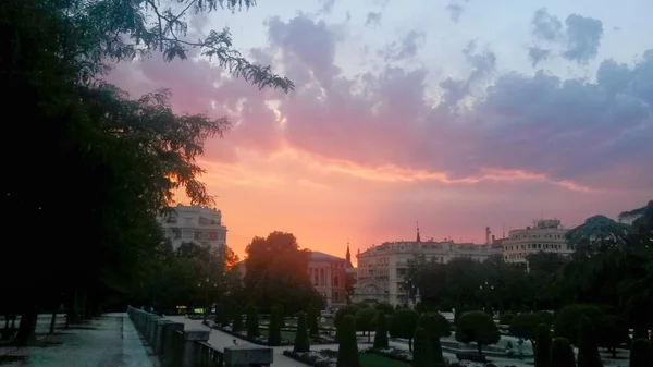 Sunset in Retiro park, Madrid — Stock Photo, Image