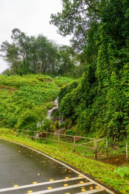 Kenarlarından dere akan bir yol. Yol ıslak ve ağaçlar yemyeşil.