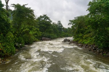 Nehir, arka planda suyla ve ağaçlarla akıyor. Su akıyor.