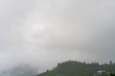 Gökyüzü bulutlu ve dağlar ağaçlarla kaplı. Bulutlar alçak, gökyüzü gri.