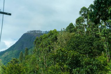 Arkasında orman olan bir dağ sırası. Gökyüzü bulutlu ve ağaçlar yeşil