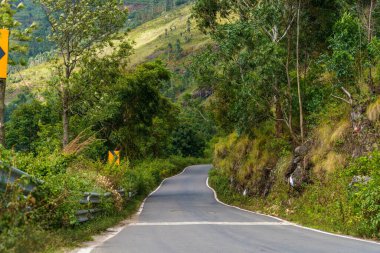Yan tarafında sarı bir tabela olan yol. Yol ağaçlarla çevrili ve dolambaçlı bir yol.