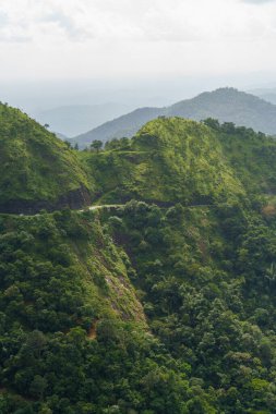 Etrafı yemyeşil ağaçlarla çevrili dolambaçlı bir yolu olan dağ sırası. Huzur dolu bir sahne.