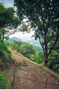 Yanı çitlerle çevrili bir orman yolu. Yol çamurlu ve ağaçlar yeşil.