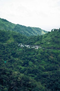 Yamaçları saran yemyeşil ormanlı güzel bir dağ sırası. Uzakta.