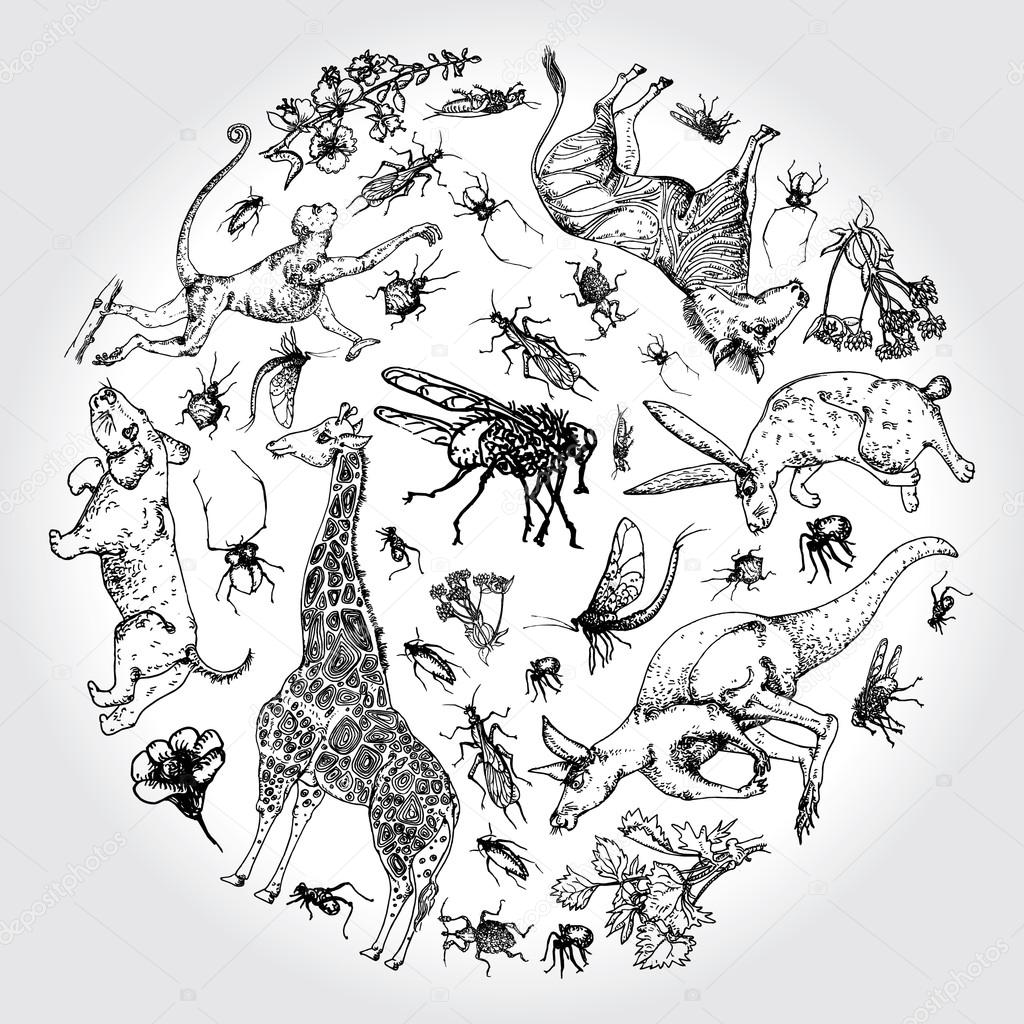 A set of animals, insects, plants, inscribed in a circle. Vector.