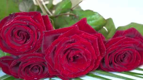 Een boeket rozen. — Stockvideo