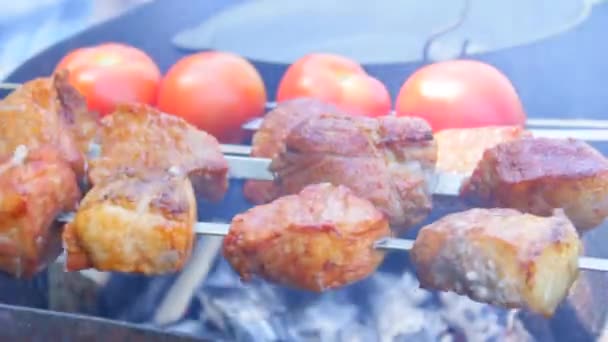 Fleisch auf einem Feuer kochen. Schweinefleisch mit Gemüse — Stockvideo