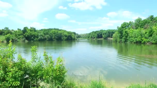 Summer landscape of lake — Stock Video