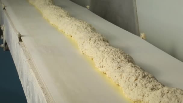 Dough moves on a conveyor belt — Stock Video