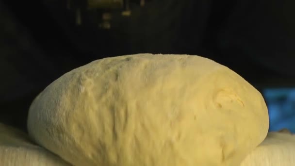 Ball dough in bread bakery — Stock Video