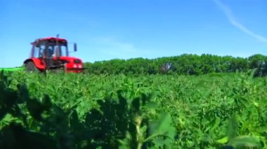 Görünüm alanı ile birleştirmek hasat