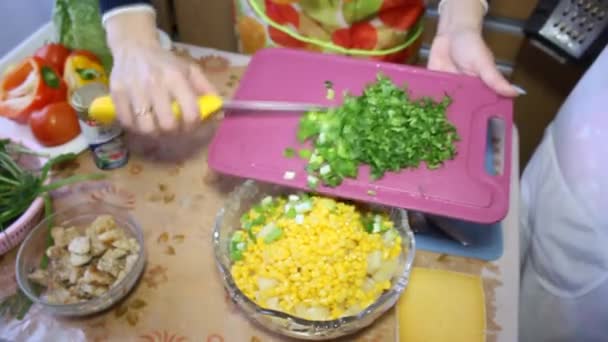 Chef-kok voorbereiding een salade-gezondheid — Stockvideo