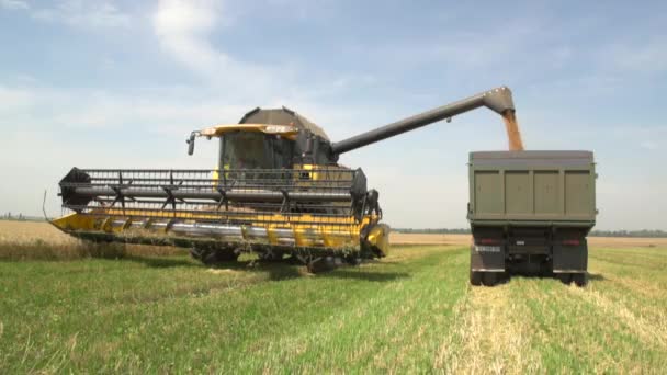Vintage. Combiner les déchargements de grain dans le champ 