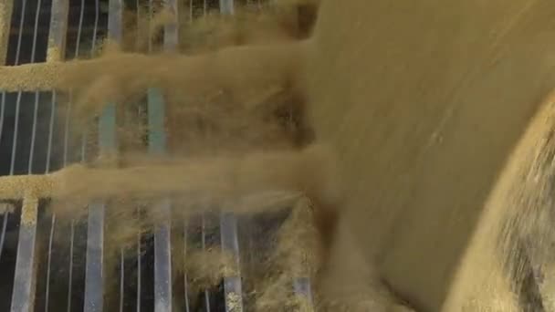 Grain is poured out of the car — Stock Video