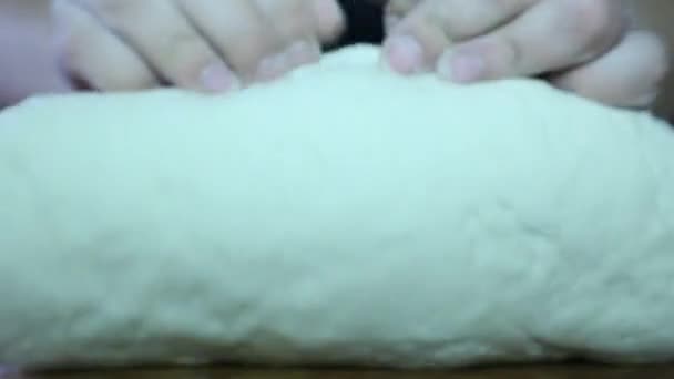 Mãos amassando a massa de farinha — Vídeo de Stock