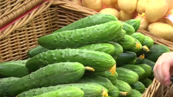 Los niños son sacados de la encimera de pepino — Vídeo de stock