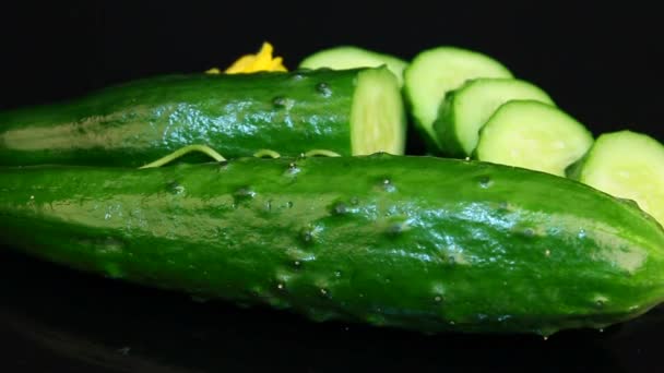 Cucumbers on leaves with flowers . Rotation in studios — Stock Video