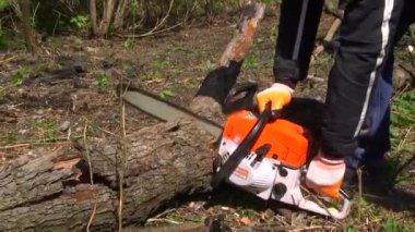 Oduncu Jack. Ağaçları elektrikli testereyle kesen orman işçisi - yavaş çekim videosu yakın çekim adam tahtayı testereyle oyuyor, doğa arka planı