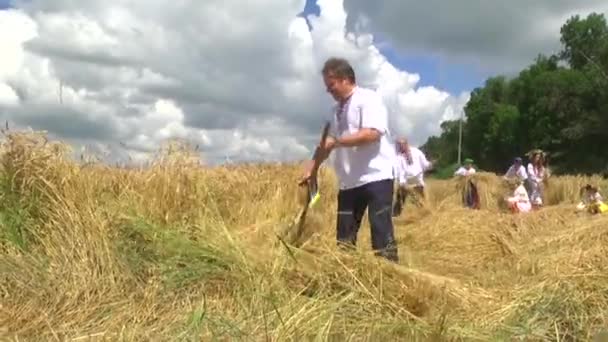 Национальная Одежда Украины Уши Кукурузы — стоковое видео