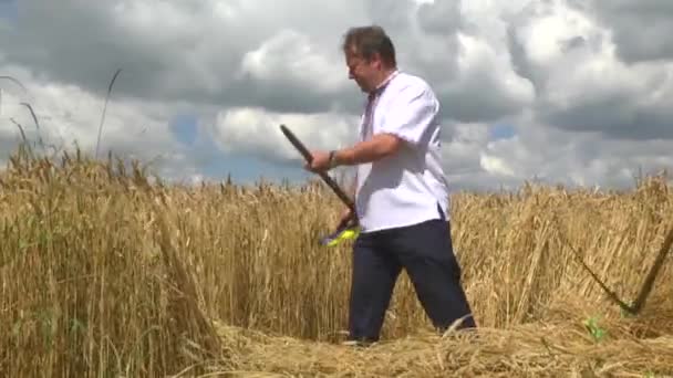 Национальная Одежда Украины Уши Кукурузы Стоковый Видеоролик