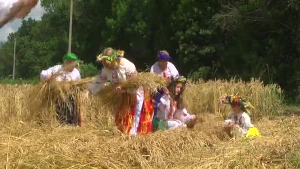 Nemzeti Ruházat Ukrajna Kukorica Fülei — Stock videók
