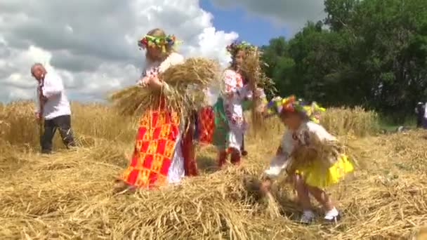 Nemzeti Ruházat Ukrajna Kukorica Fülei — Stock videók