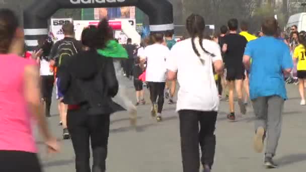 Maratona Corre Desporto Pessoa — Vídeo de Stock