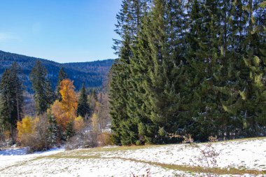 Titisee-Neustadt, Almanya - 10: 30 2012: Titisee 'nin çevresi, Avrupa köyü, Kara Orman güzel kış günlerinde. Manzara göle yansıyor.. 