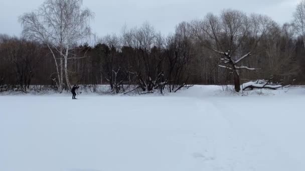 Ekaterinburg Ryssland 2021 Manlig Skidåkare Åker Skidor Sjö Mulen Vinterdag — Stockvideo