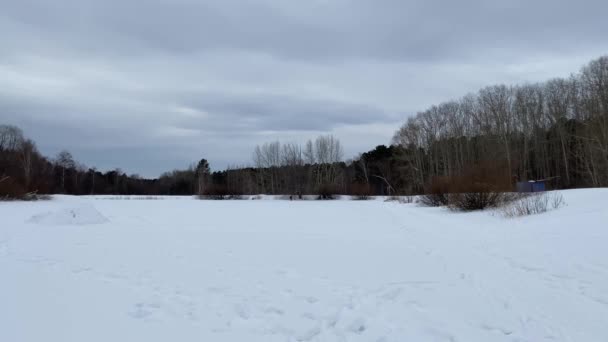 2021年1月2日 俄罗斯叶卡捷琳堡 冬季阴天 一名男子滑雪者在湖上滑雪 俄罗斯冬季自然风光的风貌 冬季体育概念 — 图库视频影像