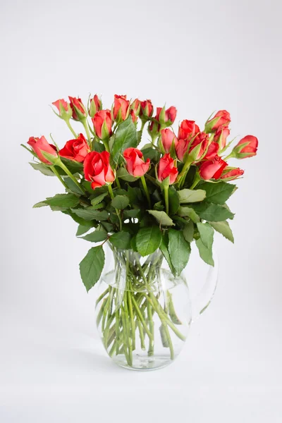 Sürahi içinde gül.