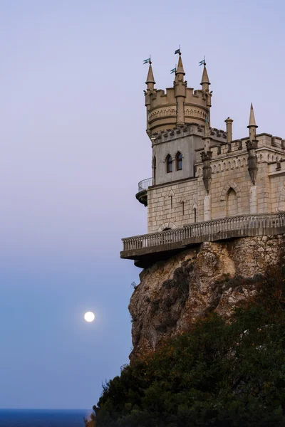 ay ışığında gün batımında kırlangıç yuva