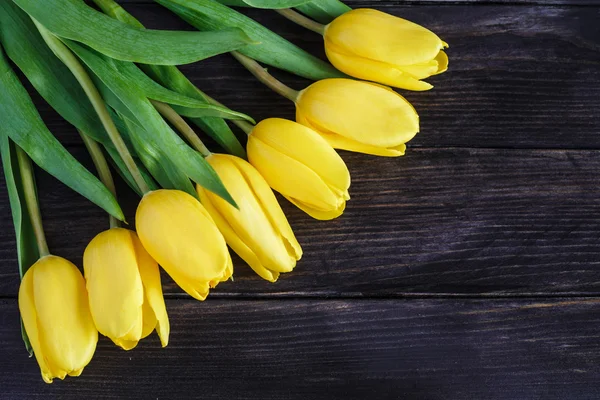 Букет жовтих тюльпанів Ліцензійні Стокові Зображення