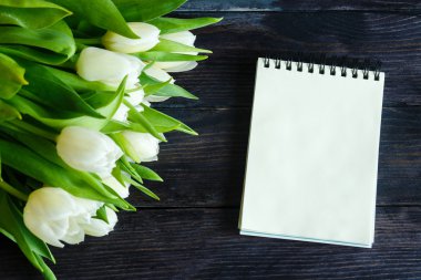  Ahşap bir arka planda