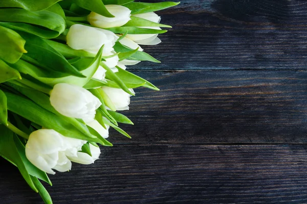 Bouquet di tulipano bianco — Foto Stock