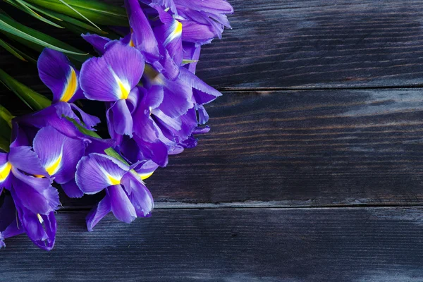 Bouquet di iris — Foto Stock