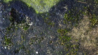 Kalıplı Grunge Sert Duvarı