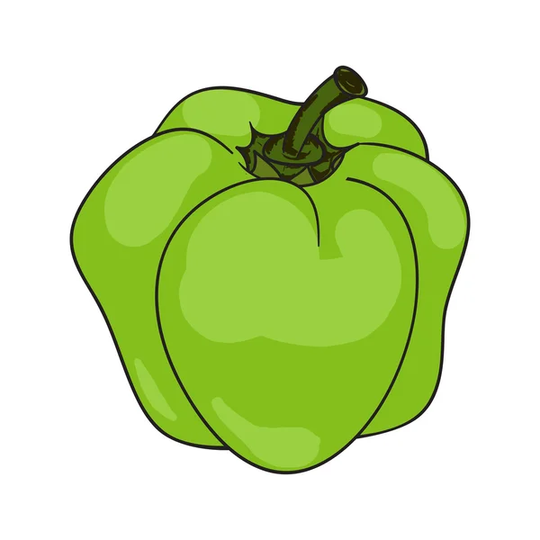 Paprika vert coloré — Image vectorielle