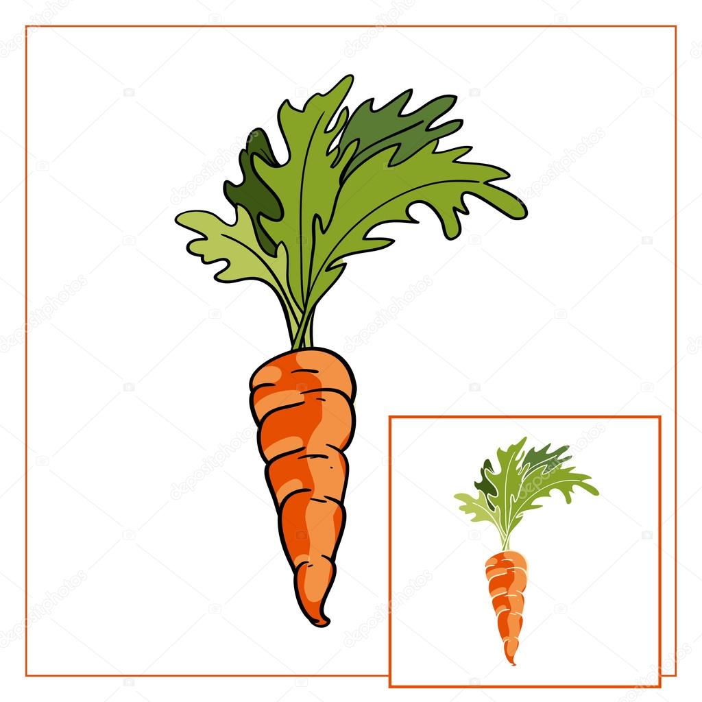 Carrot, vector icon