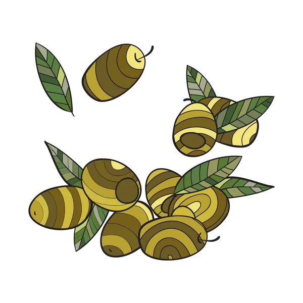 Grüne Oliven gesetzt. Vektor Hand gezeichnet — kostenloses Stockfoto