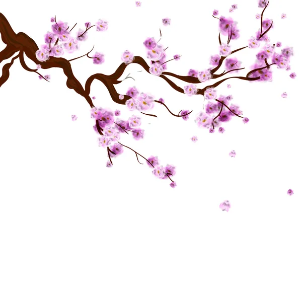 桜の花、木の枝と水彩さくら背景。Ha — ストックベクタ