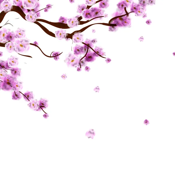 Tle akwarela sakura kwiat wiśni wiśniowe drzewo gałąź. Ha — Wektor stockowy