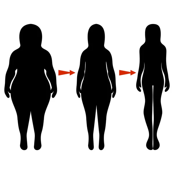 Silhouettes of women thick and thin. Vector illustration, hand d — Stockový vektor