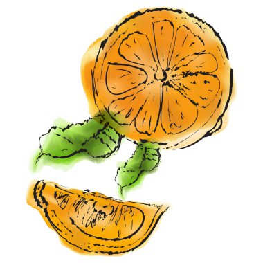 El beyaz arka plan üzerinde vektör suluboya resim çekilmiş. V