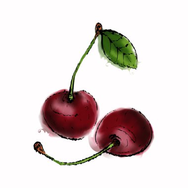 Vektör suluboya elle çizilmiş meyve, suluboya efekti. Organik f